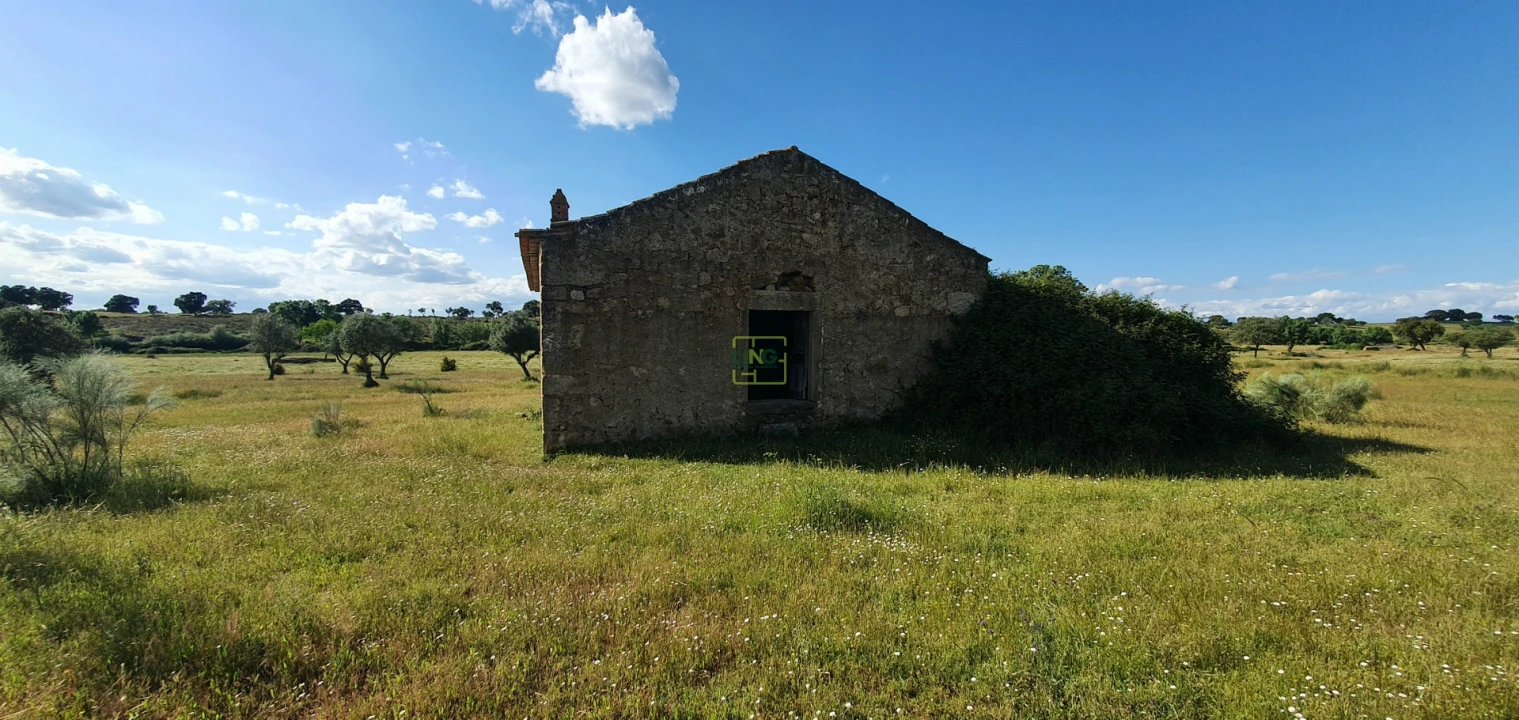 Quinta T7 para Venda em Malpica do Tejo Foto 18