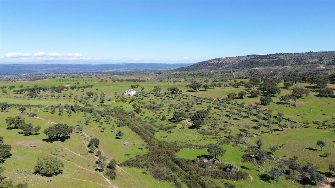 Quinta T7 para Venda em Malpica do Tejo Foto 124