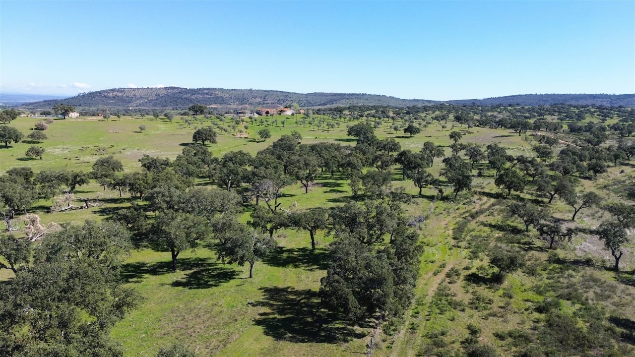 Quinta T7 para Venda em Malpica do Tejo Foto 92