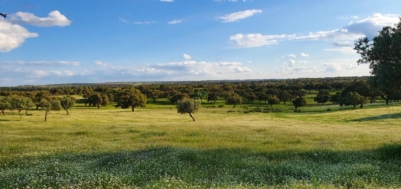 Quinta T7 para Venda em Malpica do Tejo Foto 60