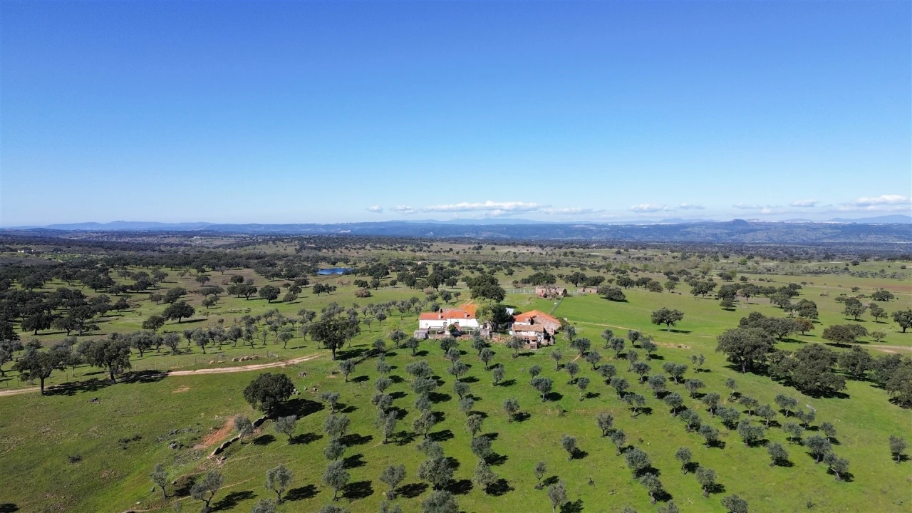 Quinta T7 para Venda em Malpica do Tejo Foto 119