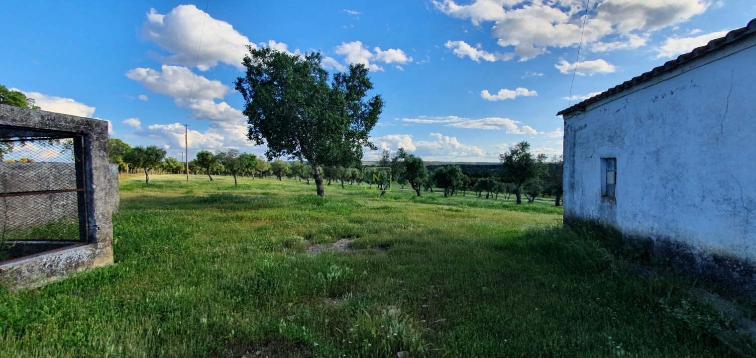 Quinta T7 para Venda em Malpica do Tejo Foto 32