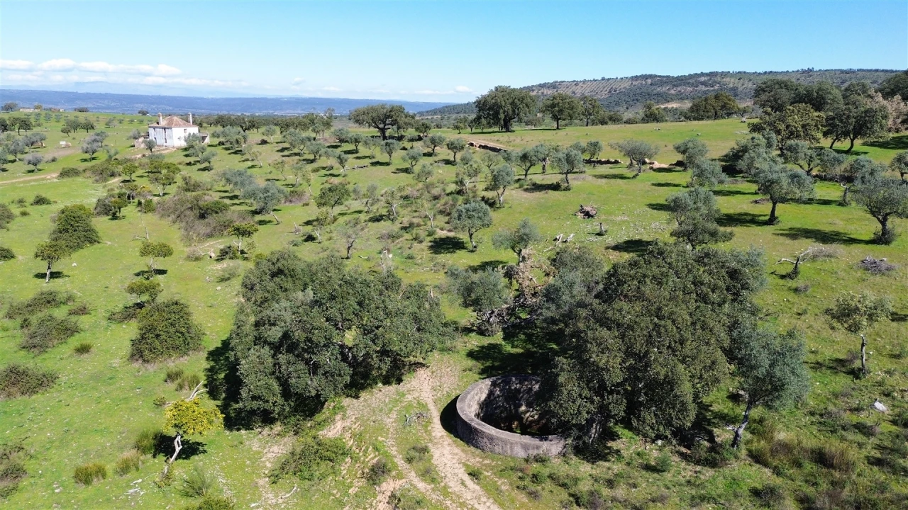 Quinta T7 para Venda em Malpica do Tejo Foto 126