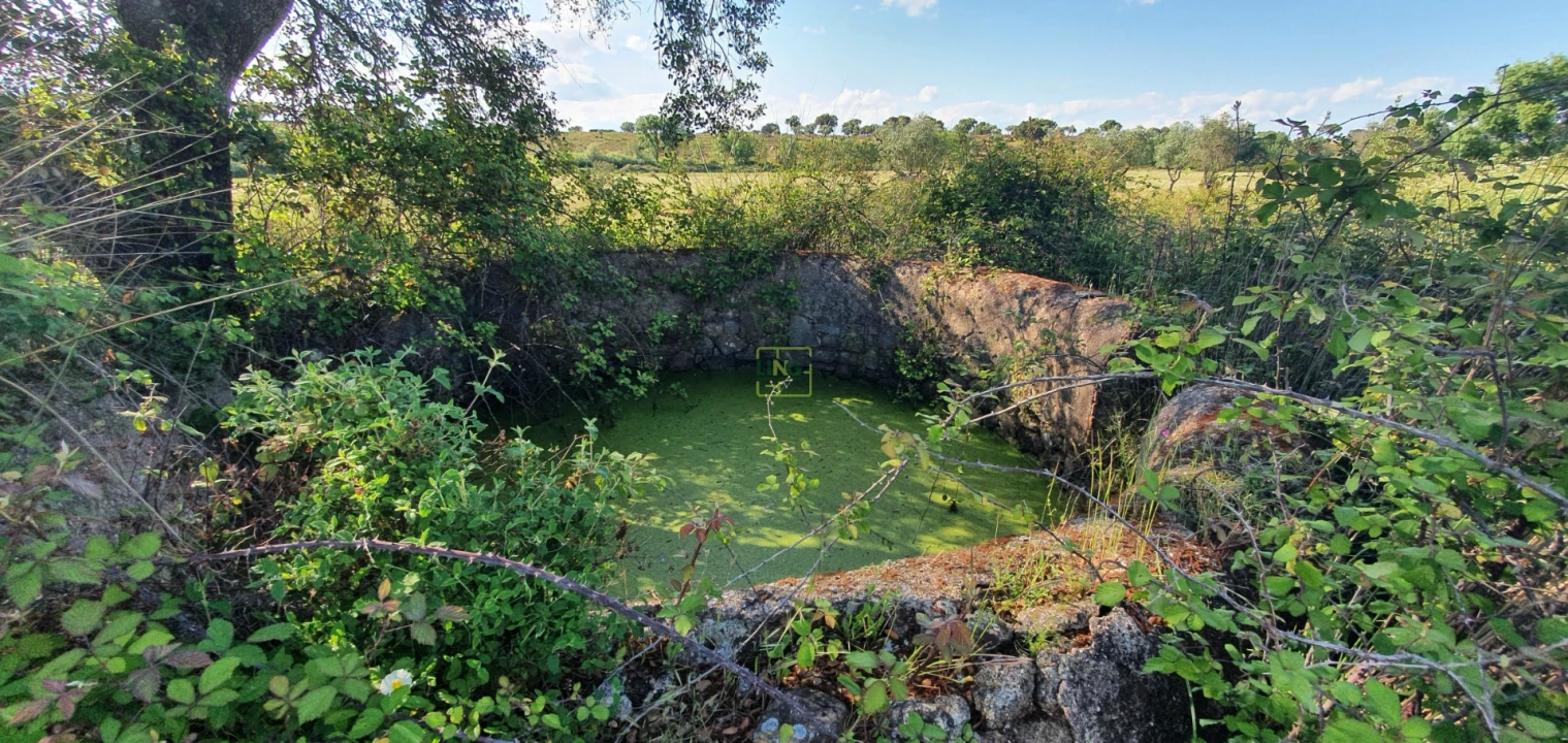 Quinta T7 para Venda em Malpica do Tejo Foto 16
