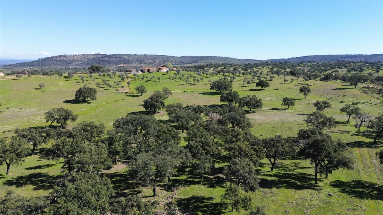 Quinta T7 para Venda em Malpica do Tejo Foto 93