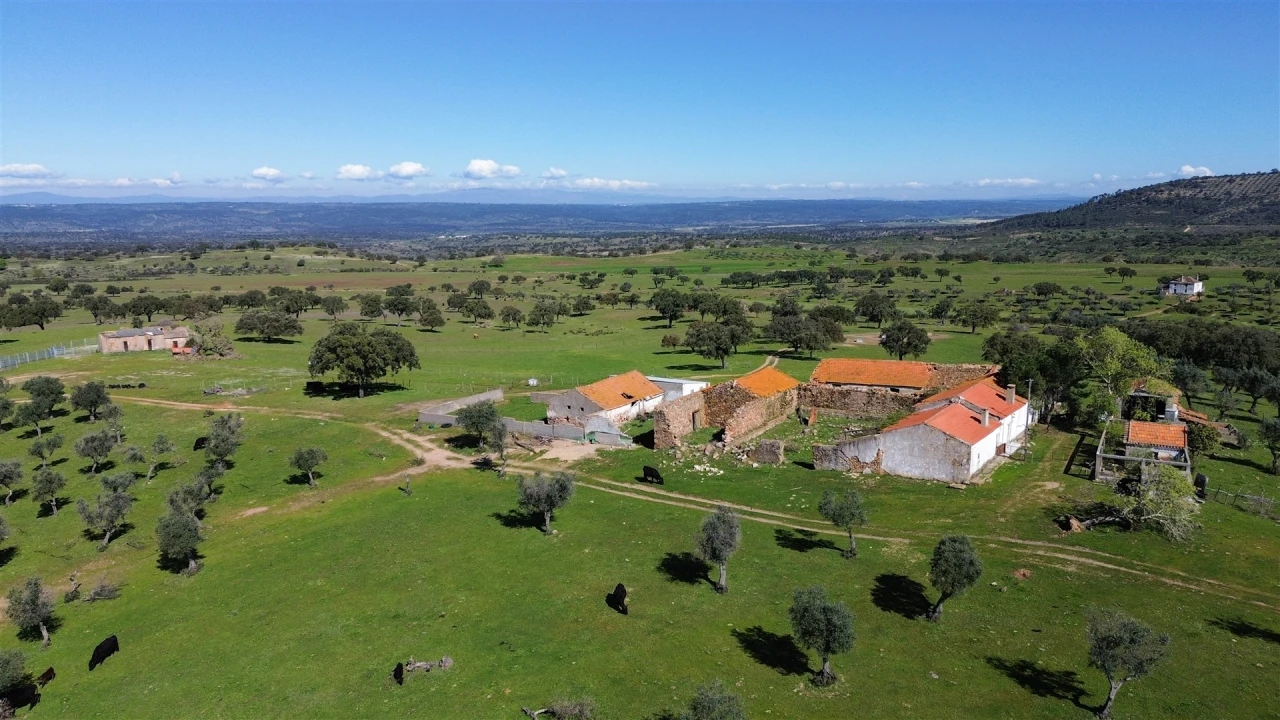 Quinta T7 para Venda em Malpica do Tejo Foto 97