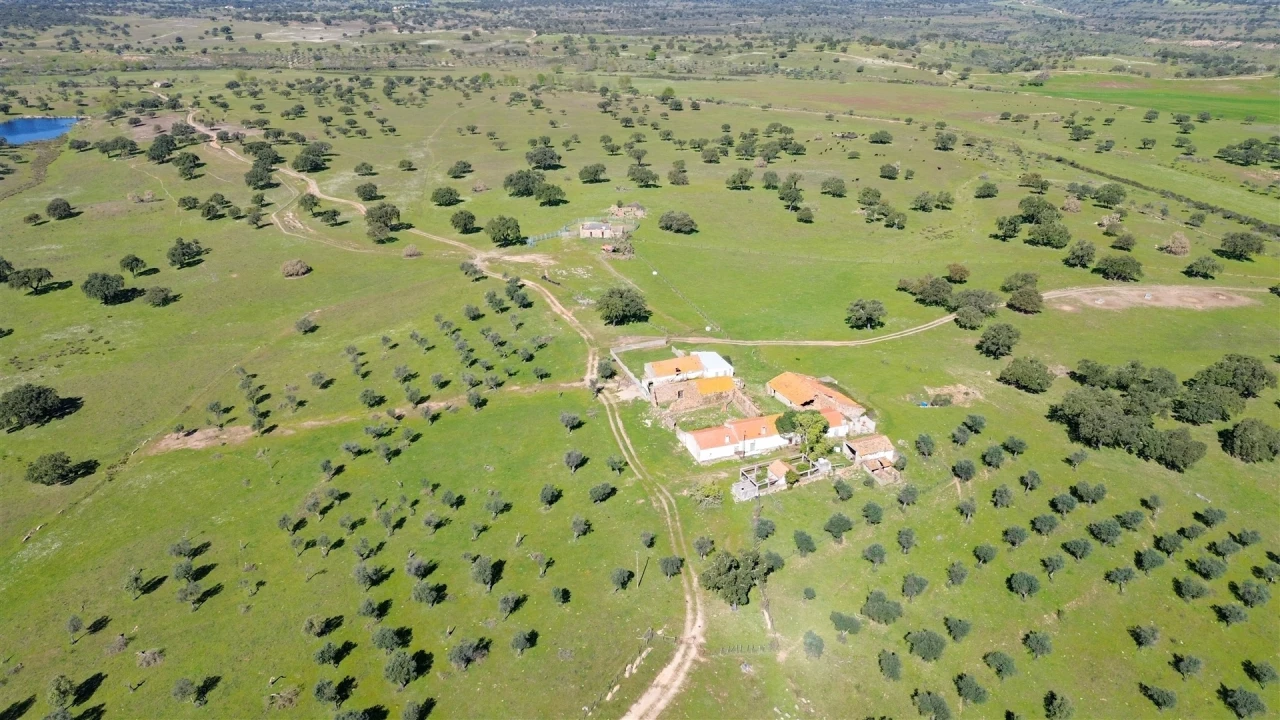 Quinta T7 para Venda em Malpica do Tejo Foto 120