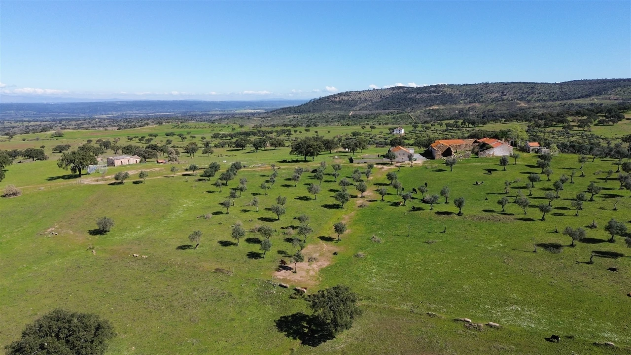 Quinta T7 para Venda em Malpica do Tejo Foto 94