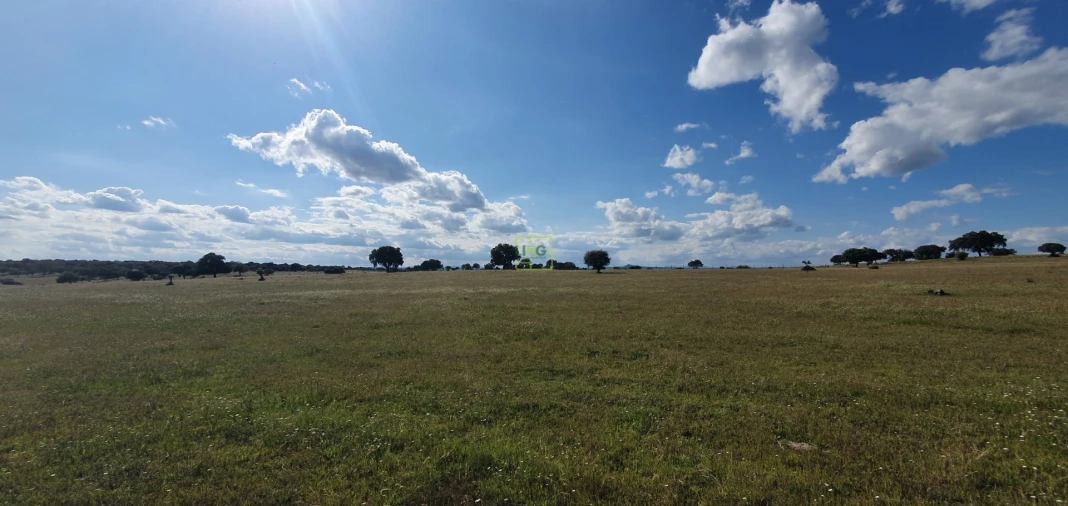 Quinta T7 para Venda em Malpica do Tejo Foto 15