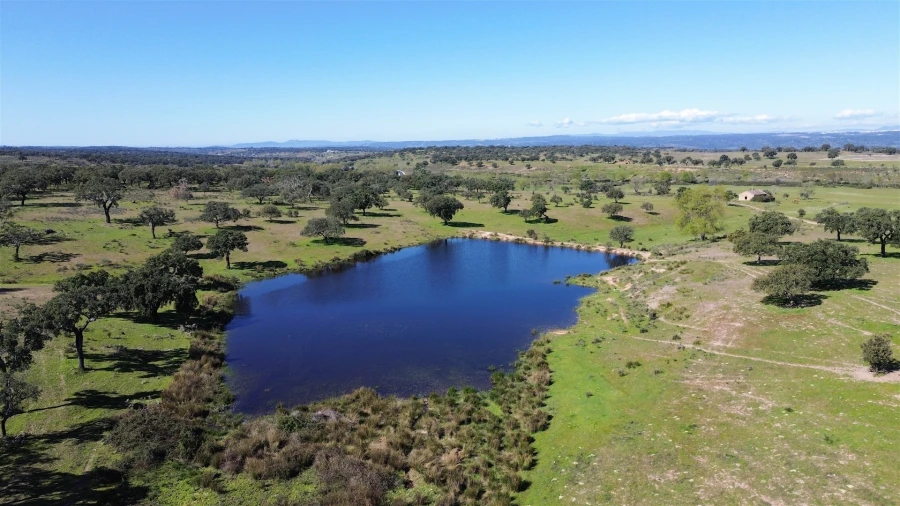 Quinta T7 para Venda em Malpica do Tejo Foto 106