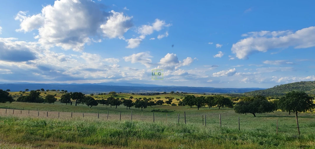 Quinta T7 para Venda em Malpica do Tejo Foto 59