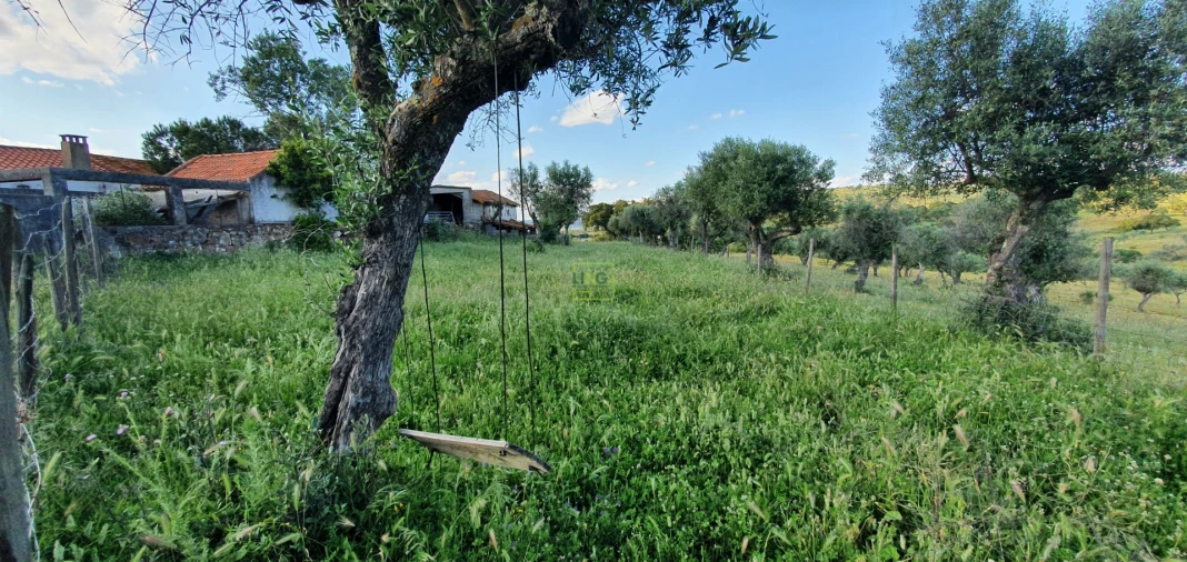 Quinta T7 para Venda em Malpica do Tejo Foto 36