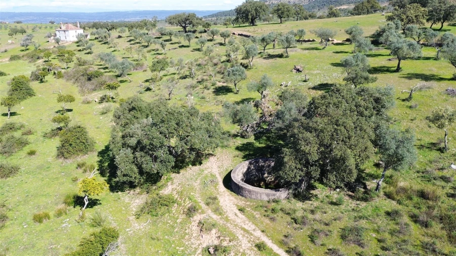Quinta T7 para Venda em Malpica do Tejo Foto 125