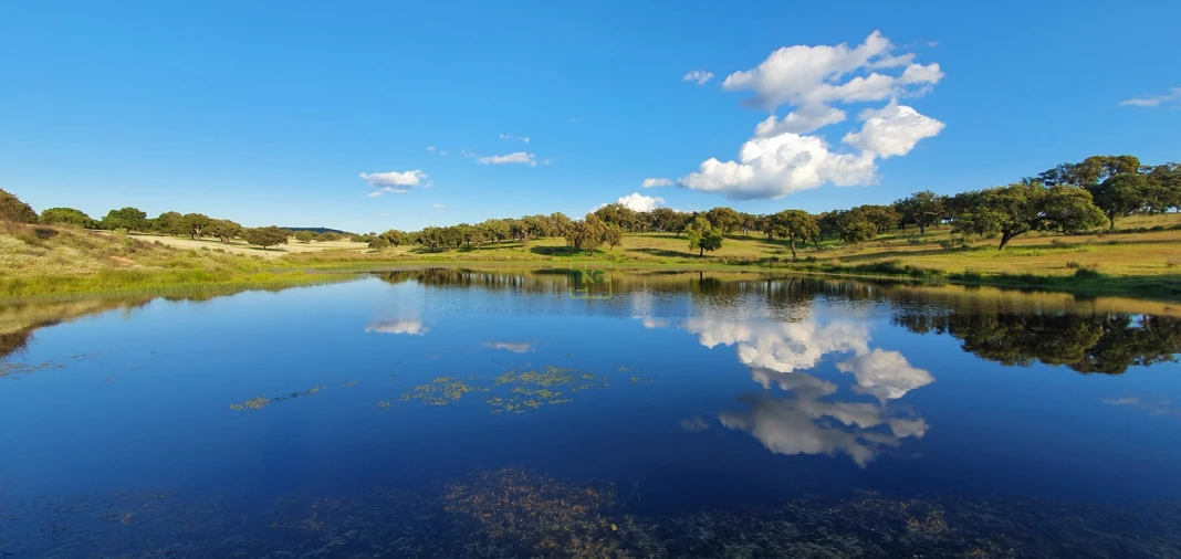 Quinta T7 para Venda em Malpica do Tejo
