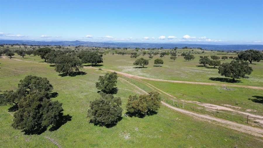 Quinta T7 para Venda em Malpica do Tejo Foto 105