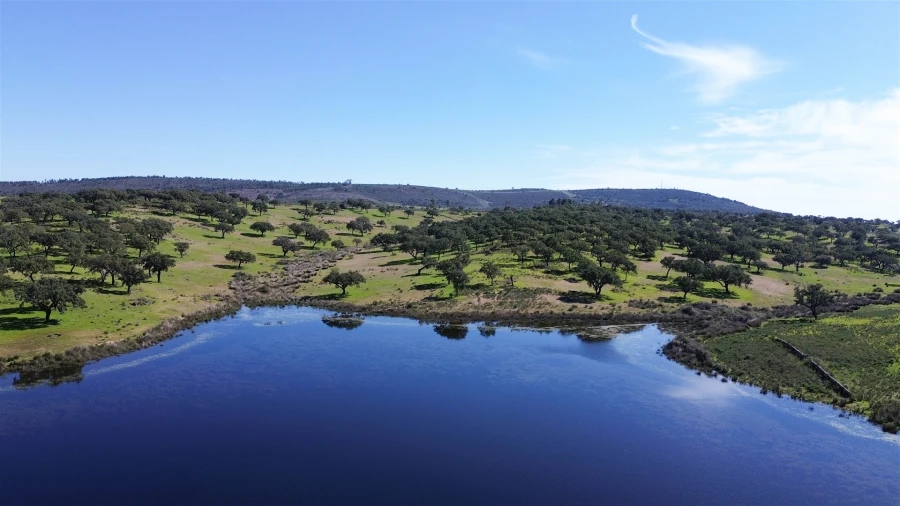 Quinta T7 para Venda em Malpica do Tejo Foto 114