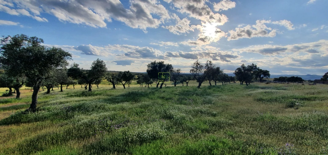 Quinta T7 para Venda em Malpica do Tejo Foto 57