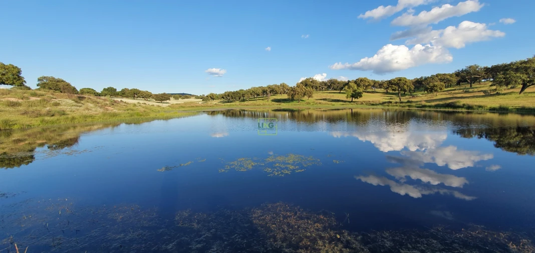 Quinta T7 para Venda em Malpica do Tejo Foto 84