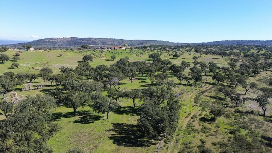 Quinta T7 para Venda em Malpica do Tejo Foto 92