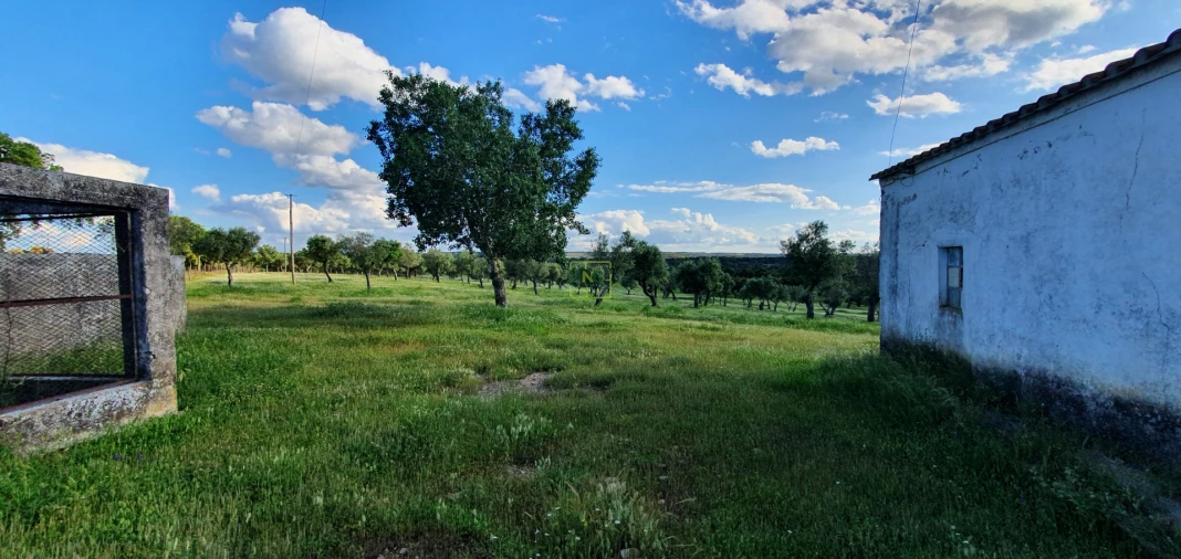 Quinta T7 para Venda em Malpica do Tejo Foto 32