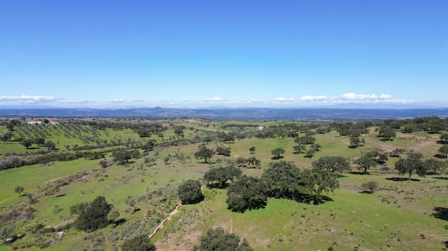 Quinta T7 para Venda em Malpica do Tejo Foto 116