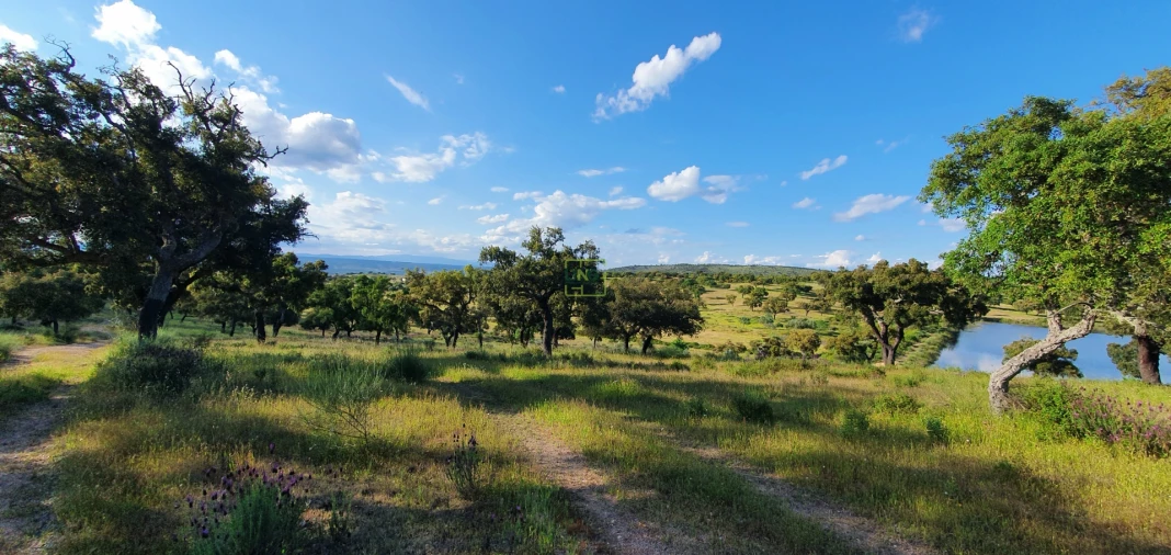 Quinta T7 para Venda em Malpica do Tejo Foto 49
