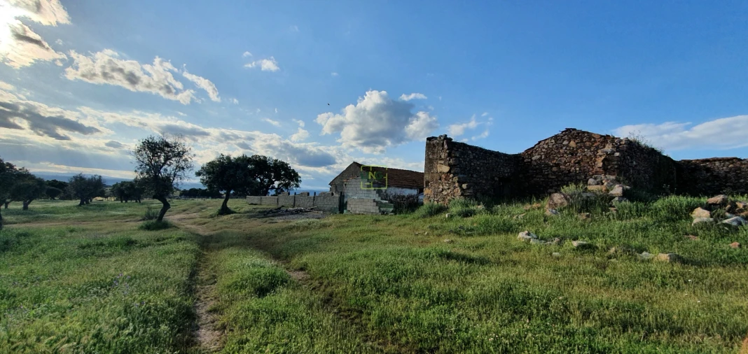 Quinta T7 para Venda em Malpica do Tejo Foto 55