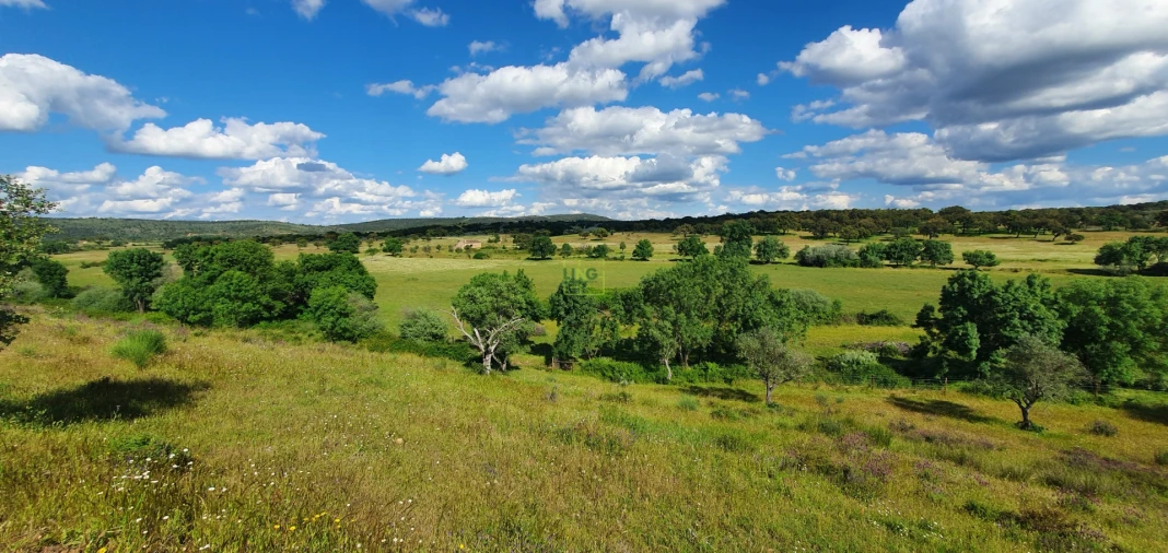 Quinta T7 para Venda em Malpica do Tejo Foto 10