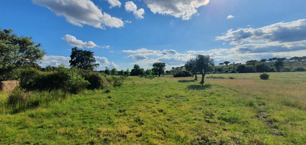 Quinta T7 para Venda em Malpica do Tejo Foto 22