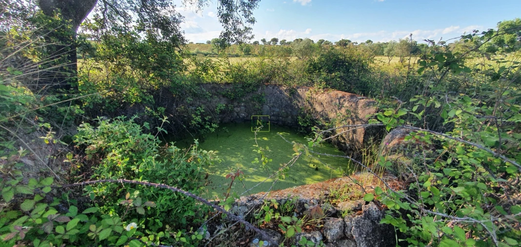 Quinta T7 para Venda em Malpica do Tejo Foto 16