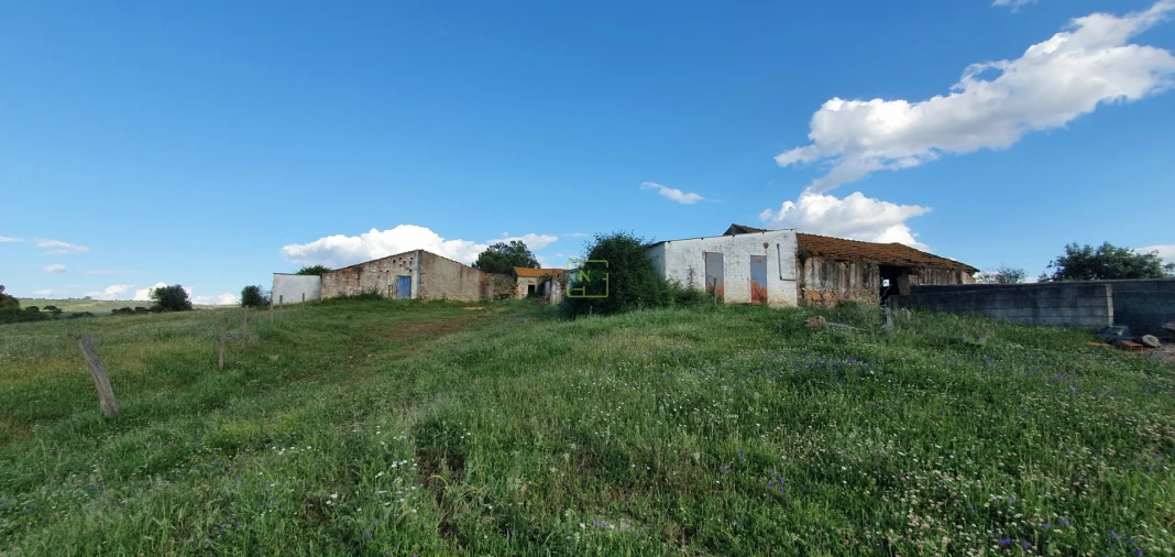 Quinta T7 para Venda em Malpica do Tejo Foto 27