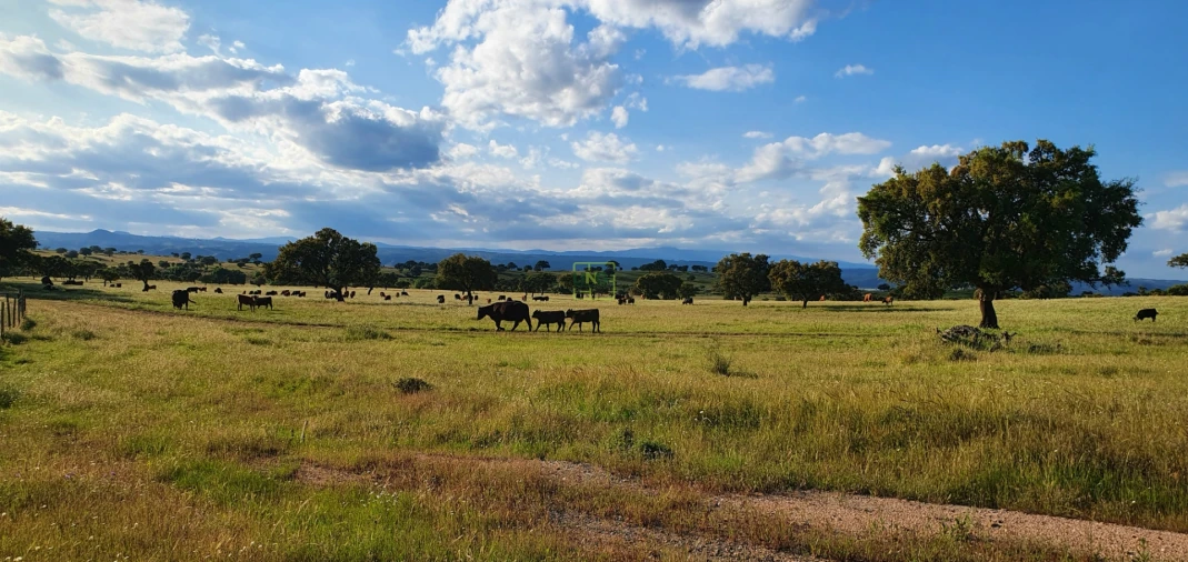 Quinta T7 para Venda em Malpica do Tejo Foto 65