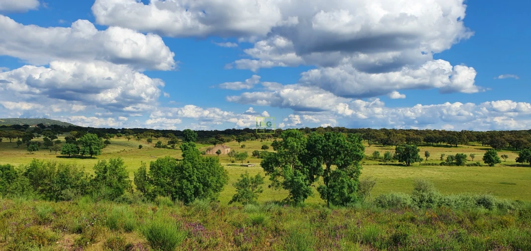 Quinta T7 para Venda em Malpica do Tejo Foto 13