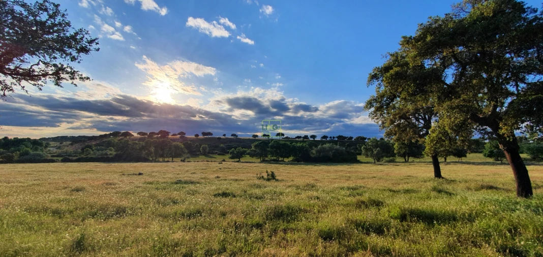 Quinta T7 para Venda em Malpica do Tejo Foto 89