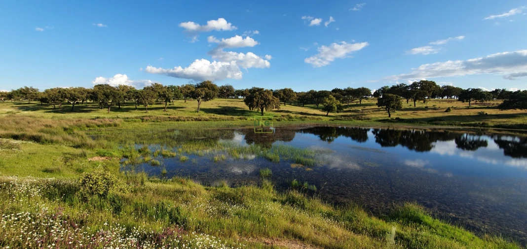 Quinta T7 para Venda em Malpica do Tejo Foto 80