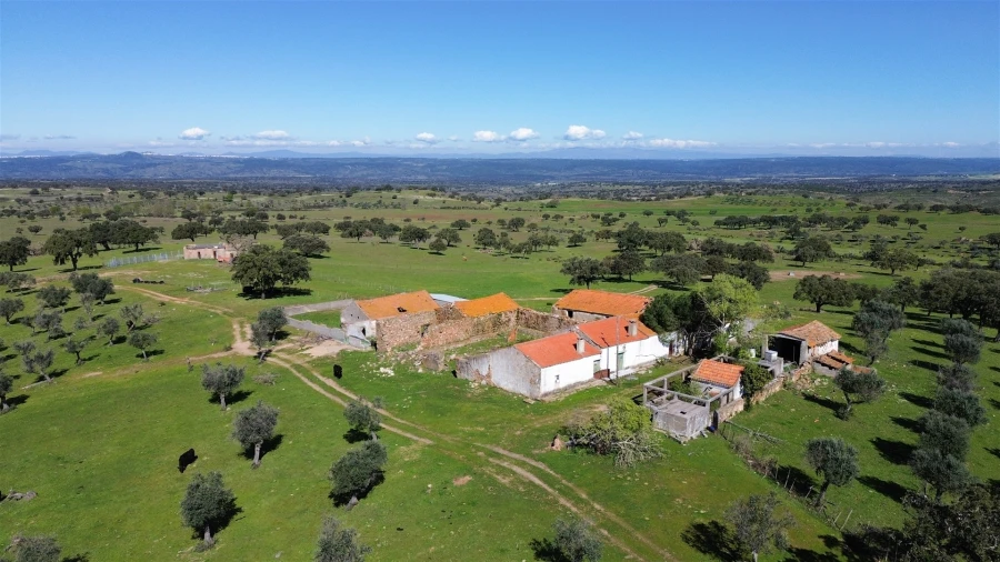 Quinta T7 para Venda em Malpica do Tejo Foto 96