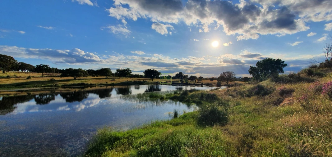 Quinta T7 para Venda em Malpica do Tejo Foto 83