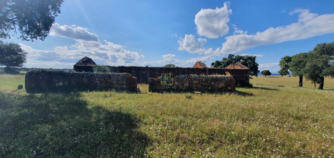Quinta T7 para Venda em Malpica do Tejo Foto 6