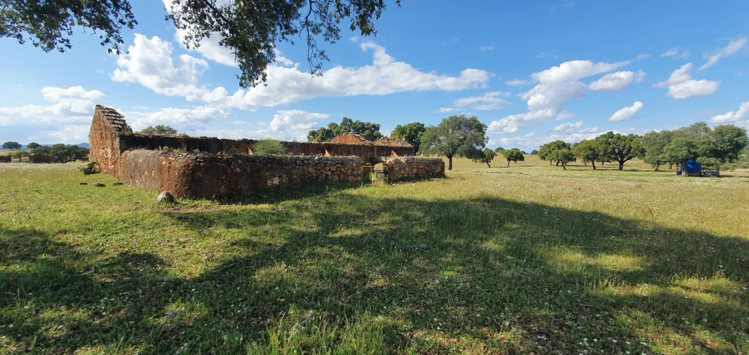 Quinta T7 para Venda em Malpica do Tejo Foto 7