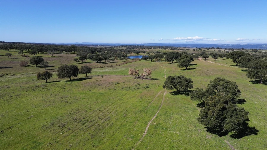 Quinta T7 para Venda em Malpica do Tejo Foto 104