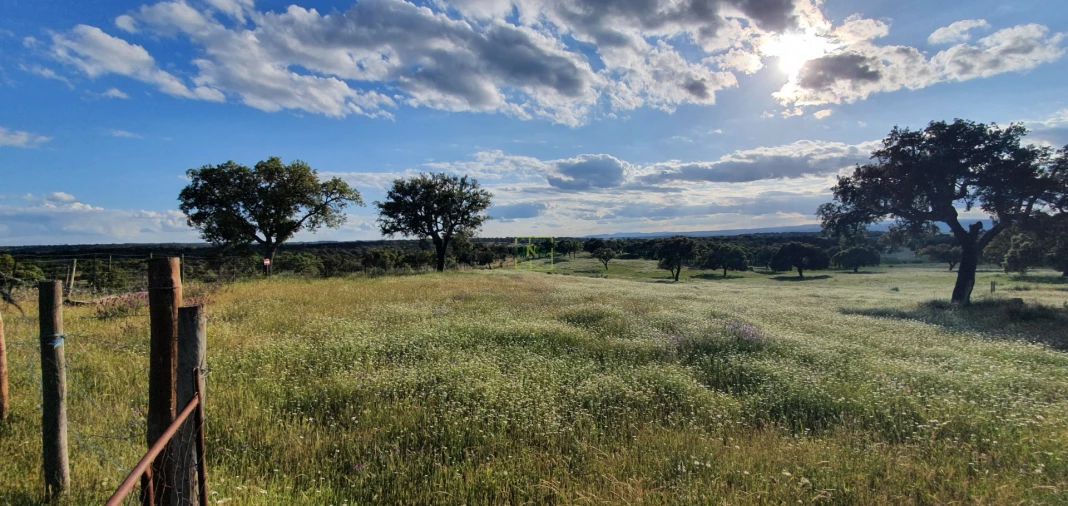 Quinta T7 para Venda em Malpica do Tejo Foto 50