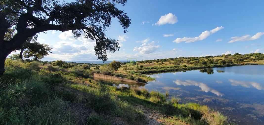 Quinta T7 para Venda em Malpica do Tejo Foto 45