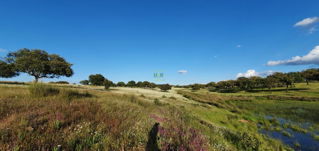 Quinta T7 para Venda em Malpica do Tejo Foto 79