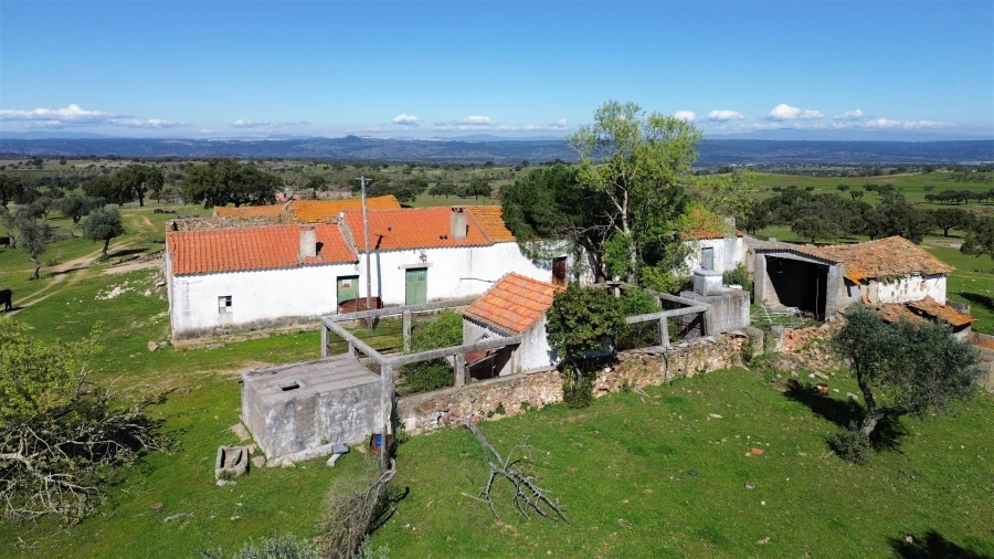 Quinta T7 para Venda em Malpica do Tejo Foto 101