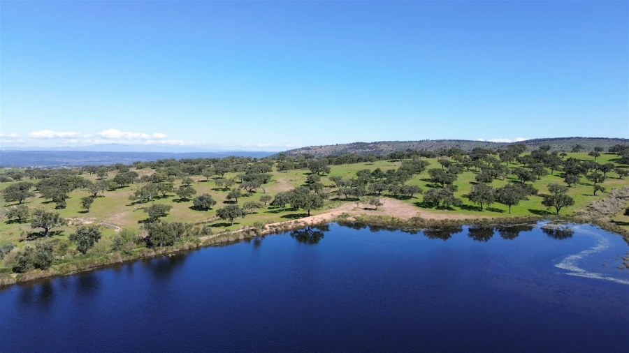 Quinta T7 para Venda em Malpica do Tejo Foto 115