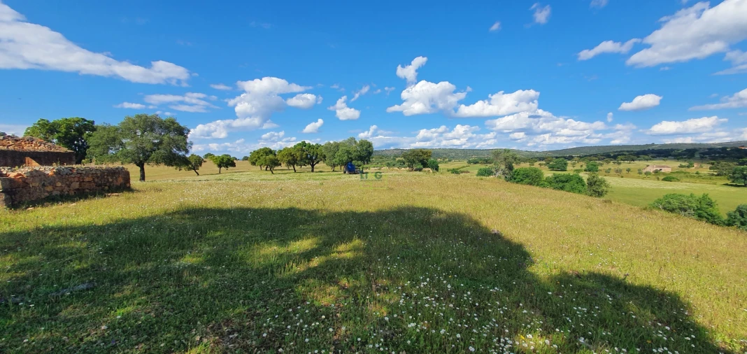 Quinta T7 para Venda em Malpica do Tejo Foto 8