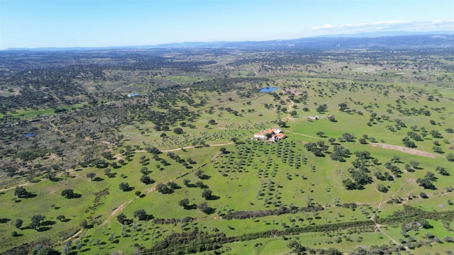 Quinta T7 para Venda em Malpica do Tejo Foto 132