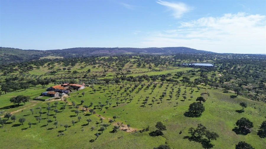 Quinta T7 para Venda em Malpica do Tejo Foto 110