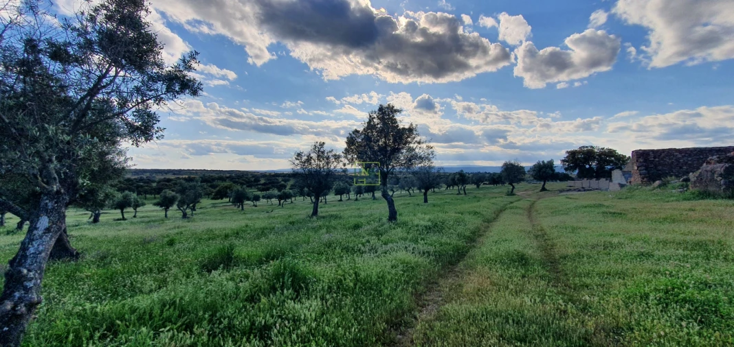 Quinta T7 para Venda em Malpica do Tejo Foto 35
