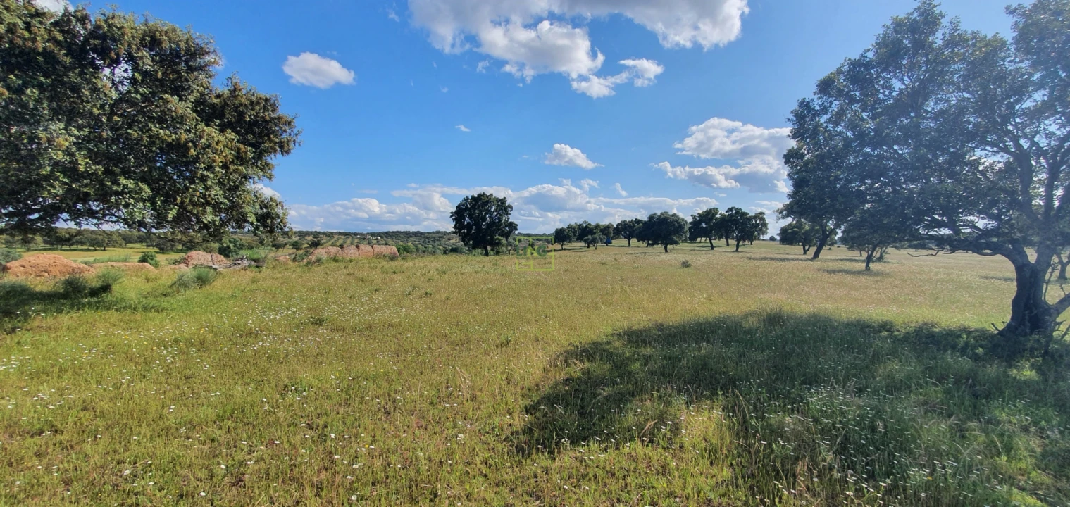 Quinta T7 para Venda em Malpica do Tejo Foto 11